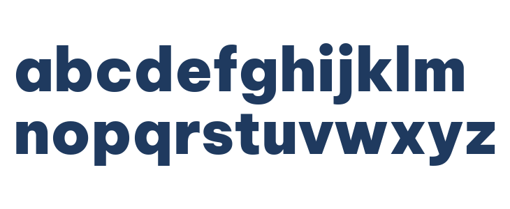 Be Vietnam Pro Black Lowercase