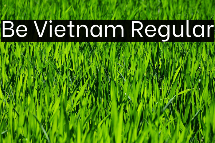 Be Vietnam Regular Font examples