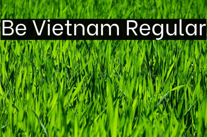 Be Vietnam Regular Example 1