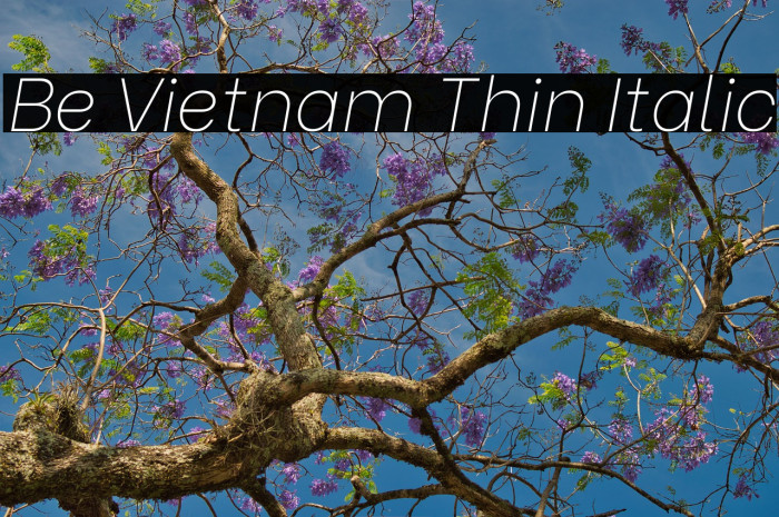 Be Vietnam Thin Italic Font examples
