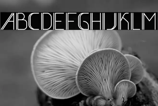 BeLati-Regular Font examples