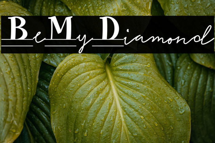 BeMyDiamond Example 1