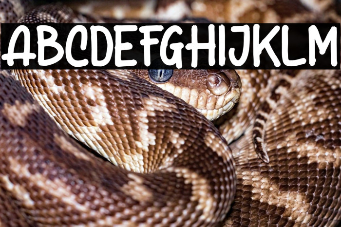 BeSeriousDEMO Example 1