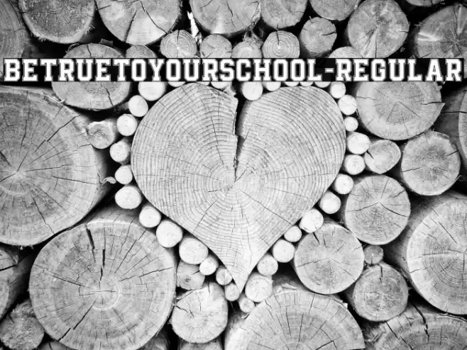 BeTrueToYourSchool-Regular Font examples