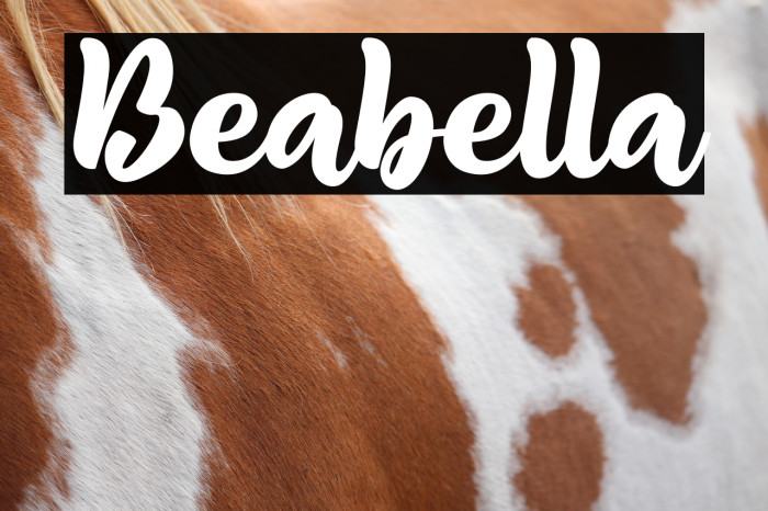 Beabella Example 3