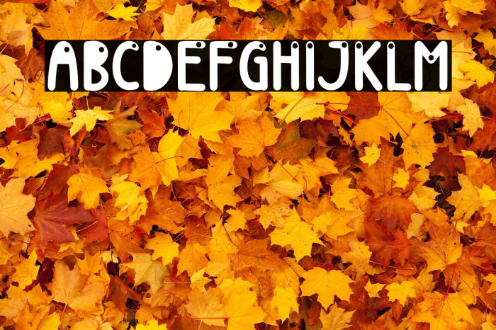 Beach Ball Example 2