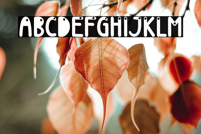 Beach Ball Example 3