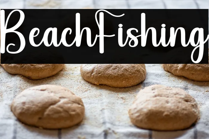 Beach Fishing Example 1