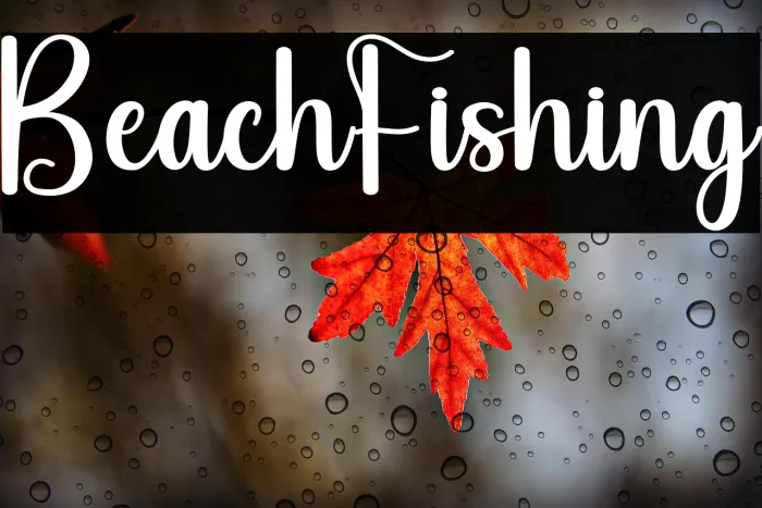 Beach Fishing Example 2