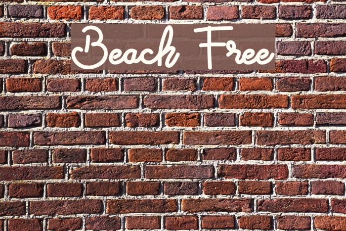 Beach Free Font examples