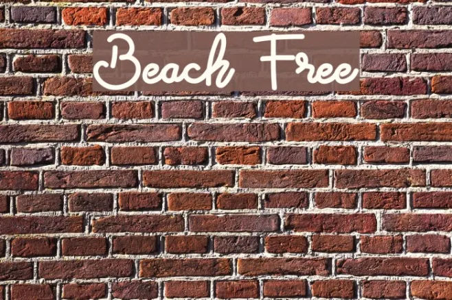 Beach Free Example 1