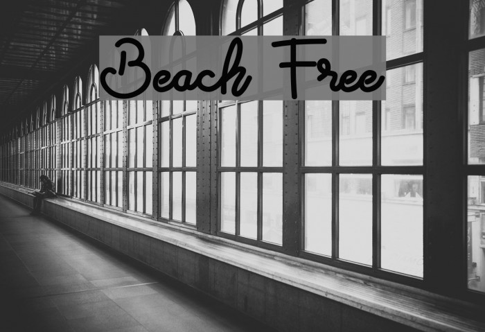 Beach Free Font examples