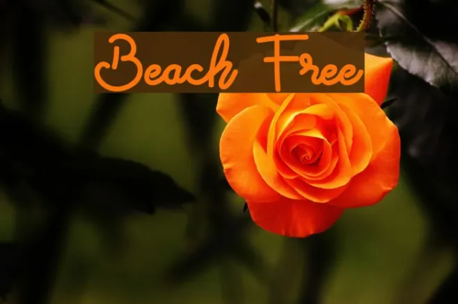 Beach Free Example 3