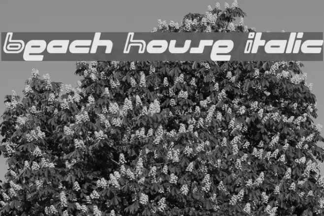 Beach House Italic Font examples