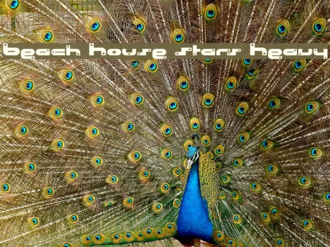 Beach House Stars Heavy Example 2