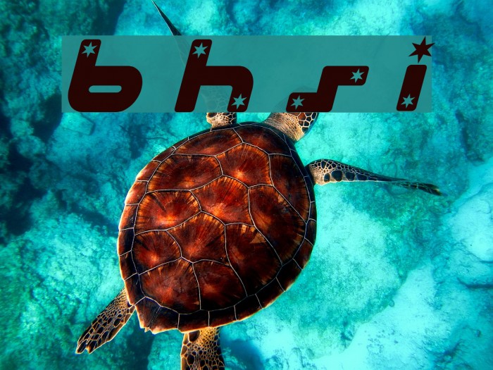 Beach House Stars Italic Font examples
