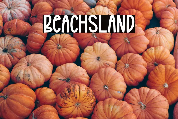 Beach Island Example 1