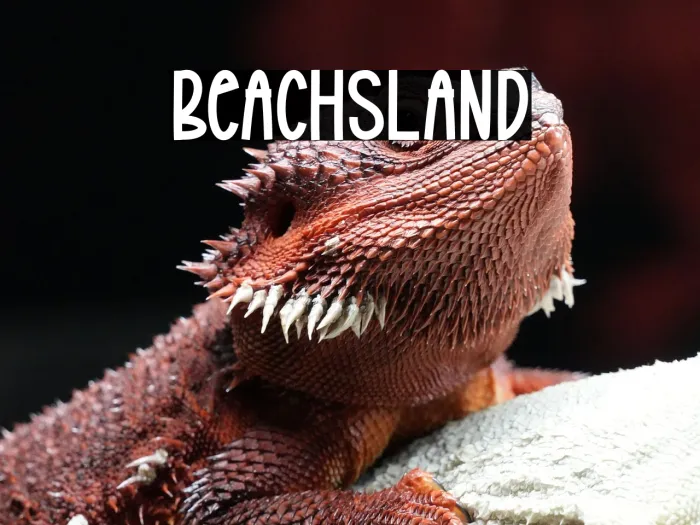 Beach Island Example 3