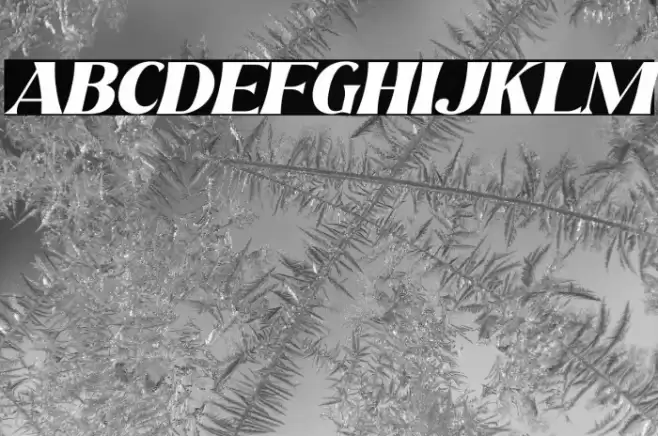 Beach Lombok Italic Font examples