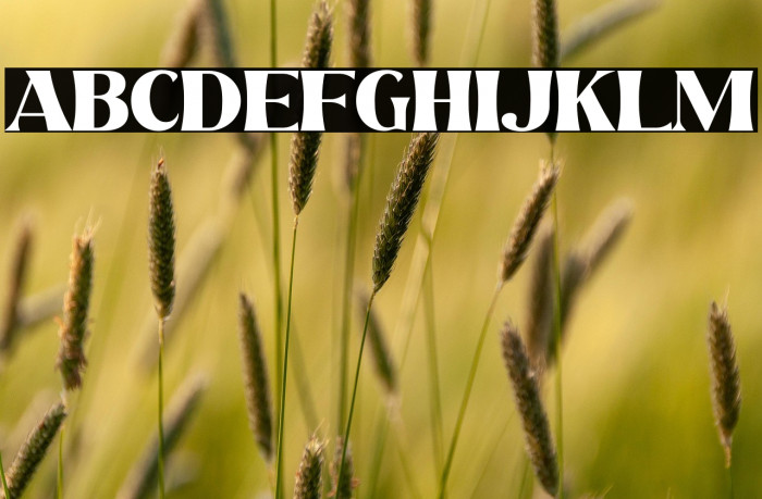 Beach Lombok Example 1