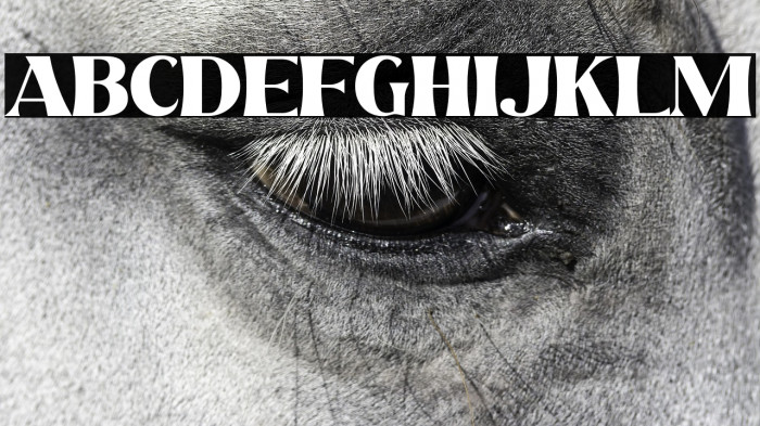 Beach Lombok Example 2