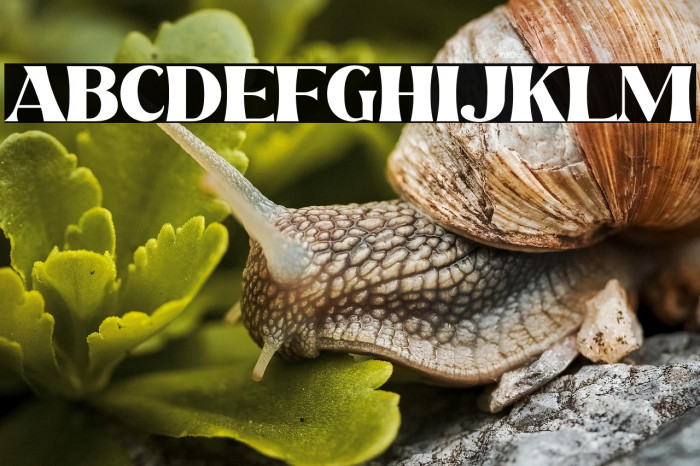 Beach Lombok Example 3