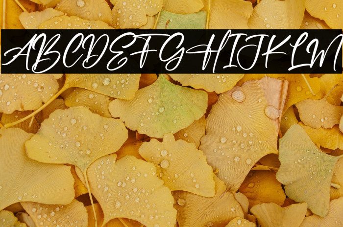 Beach Paradise Example 1