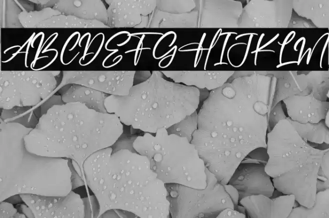 Beach Paradise Polices examples