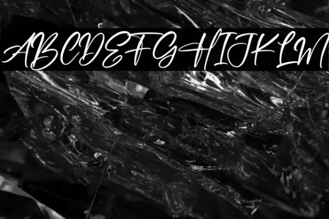 Beach Paradise Polices examples