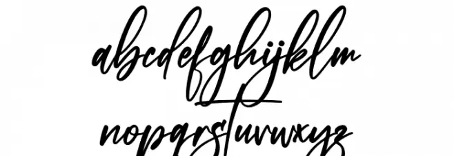 Beach Paradise Polices MINUSCULES