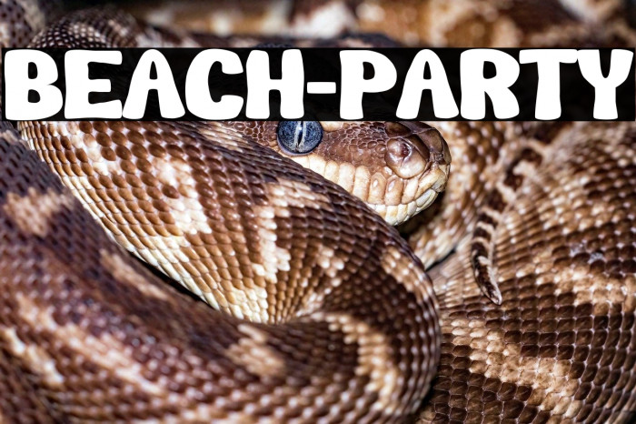 Beach-Party Example 3