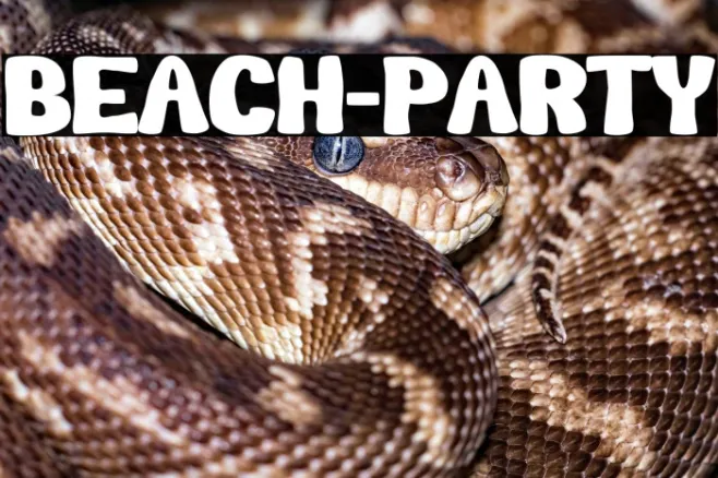 Beach-Party Example 3