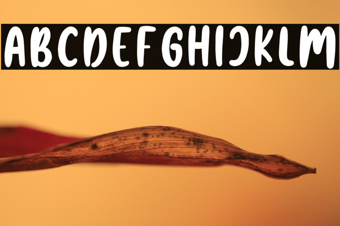 Beach Please Example 1