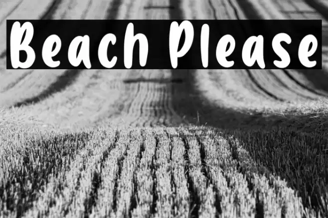 Beach Please Font examples