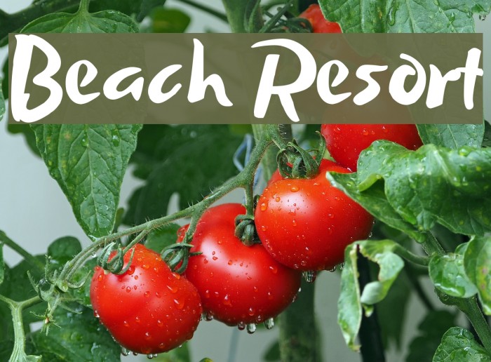 Beach Resort Example 2