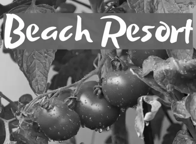 Beach Resort Font examples