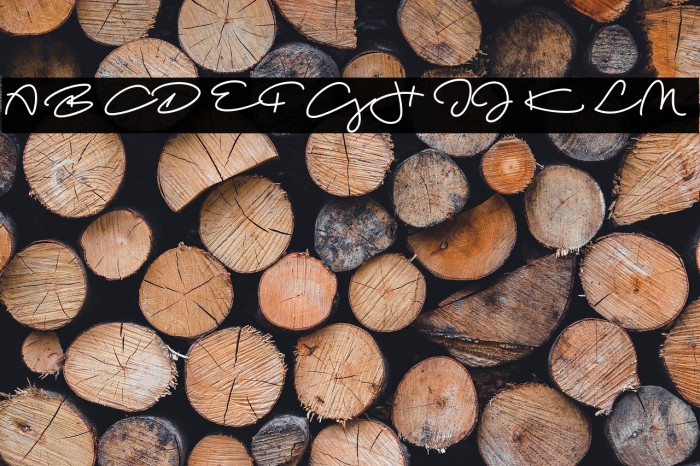 Beach Script Regular Example 3