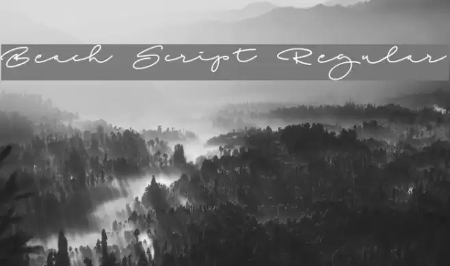 Beach Script Regular Font examples