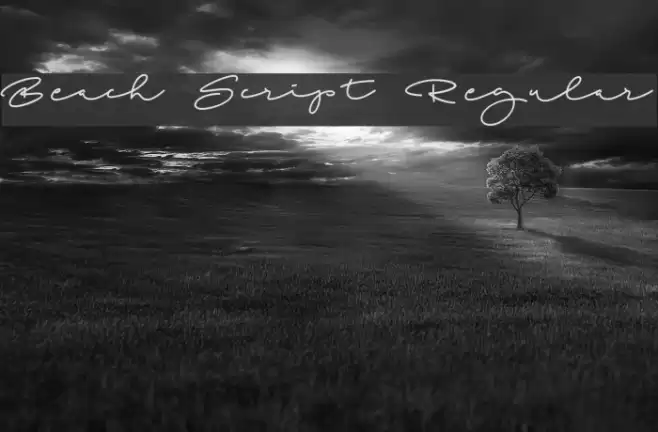 Beach Script Regular Font examples