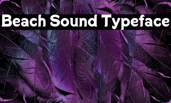 Beach Sound Typeface Example 1