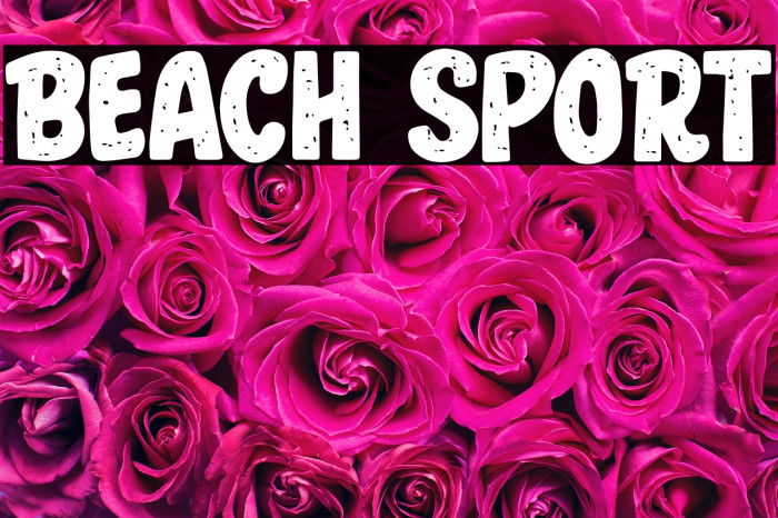 Beach Sport Example 1