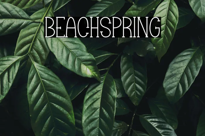 Beach Spring Example 3