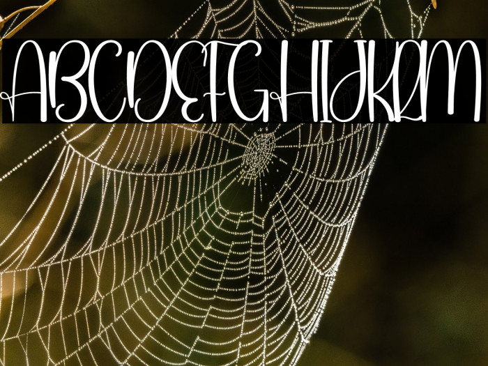 Beach Sunday Example 3