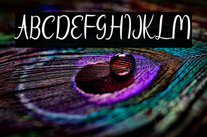 Beach Umbrella Example 2