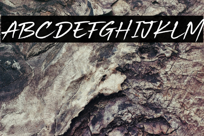 Beach Vibes Personal Use Example 3