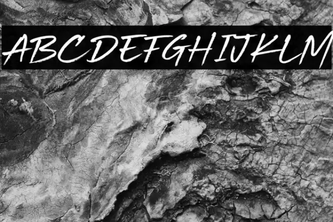 Beach Vibes Personal Use Fuentes examples