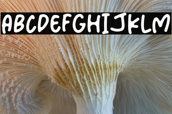 Beach Vibes Example 3