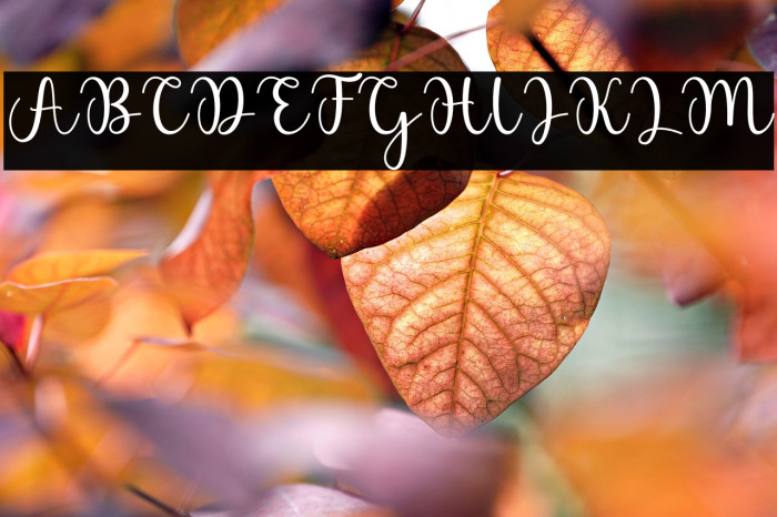 Beach Wahyu Example 3