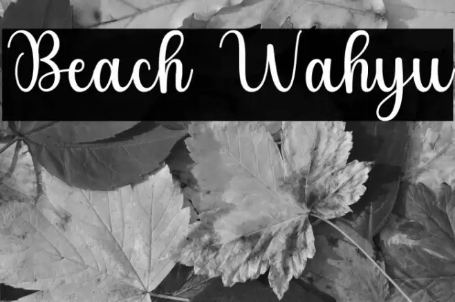 Beach Wahyu Font examples