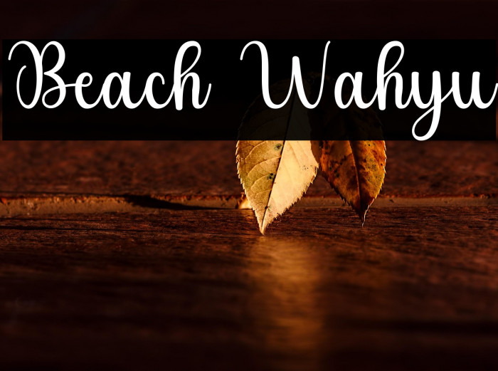 Beach Wahyu Example 3